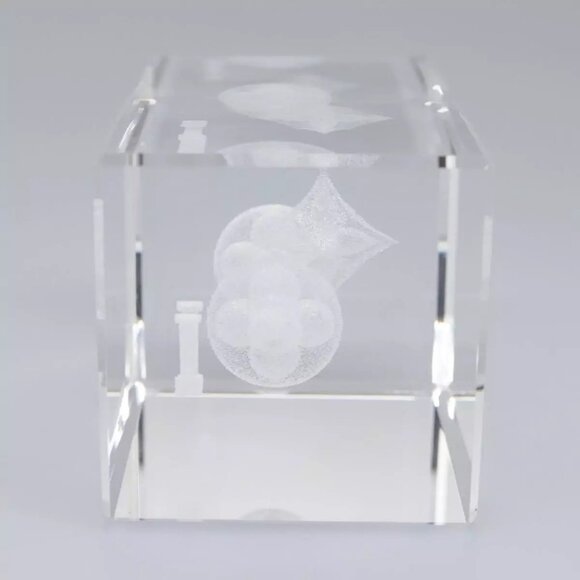LOUIS VUITTON Paper weight Clear LV Auth 114607S - Picture 13 of 16